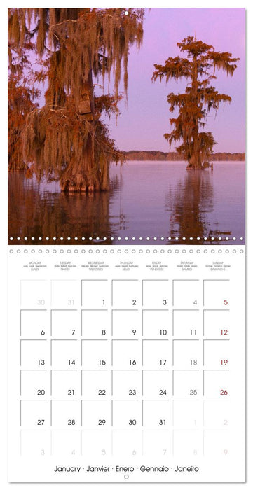 Mississippi Delta, Magic Swamps (CALVENDO Monthly Calendar 2025)