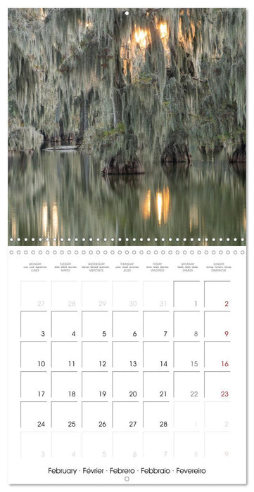 Mississippi Delta, Magic Swamps (CALVENDO Monthly Calendar 2025)