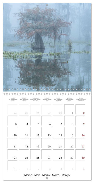 Mississippi Delta, Magic Swamps (CALVENDO Monthly Calendar 2025)