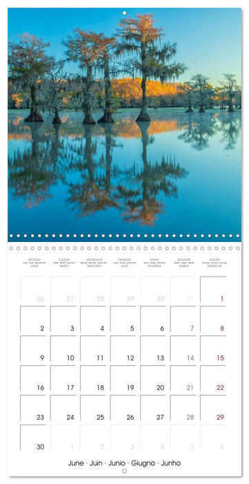 Mississippi Delta, Magic Swamps (CALVENDO Monthly Calendar 2025)