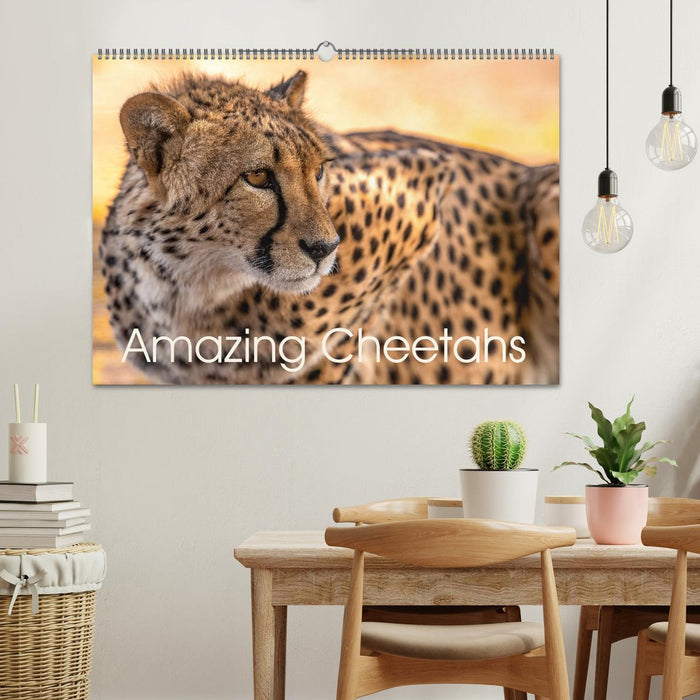 Amazing Cheetahs (CALVENDO Monthly Calendar 2025)