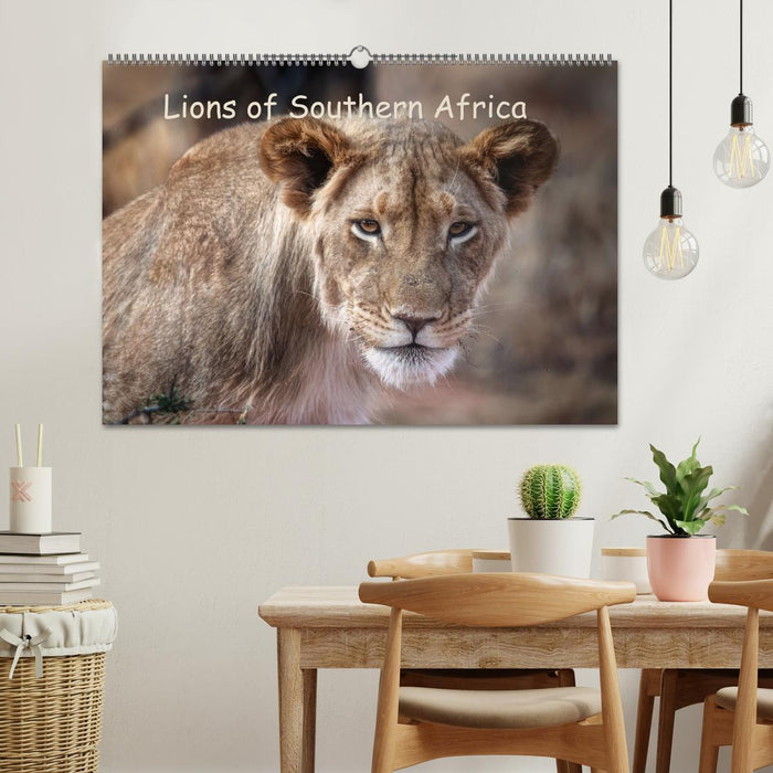 Lions of Southern Africa (CALVENDO Monthly Calendar 2025)