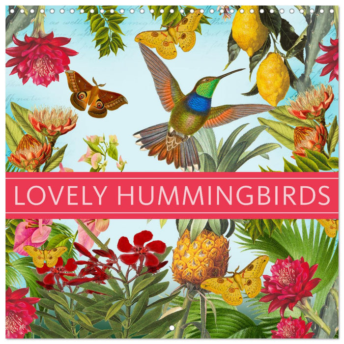 Lovely hummingbirds (CALVENDO Monthly Calendar 2025)