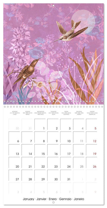 Lovely hummingbirds (CALVENDO Monthly Calendar 2025)