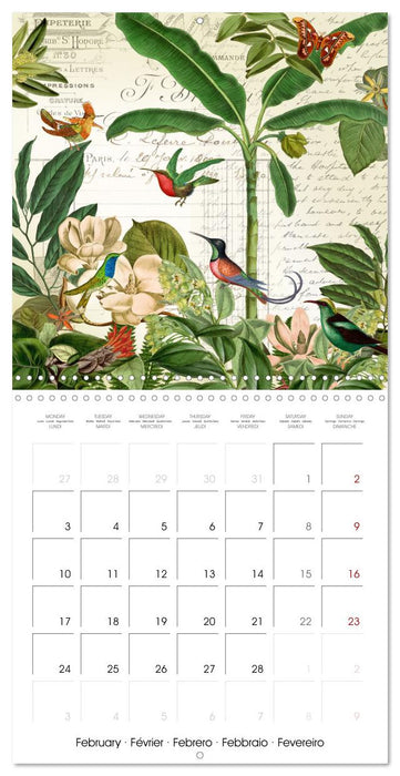 Lovely hummingbirds (CALVENDO Monthly Calendar 2025)