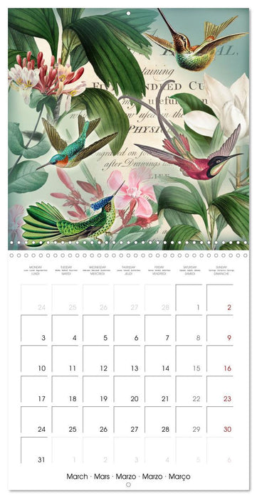 Lovely hummingbirds (CALVENDO Monthly Calendar 2025)