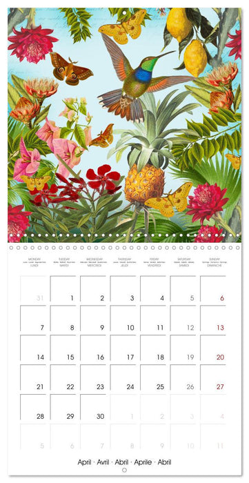 Lovely hummingbirds (CALVENDO Monthly Calendar 2025)