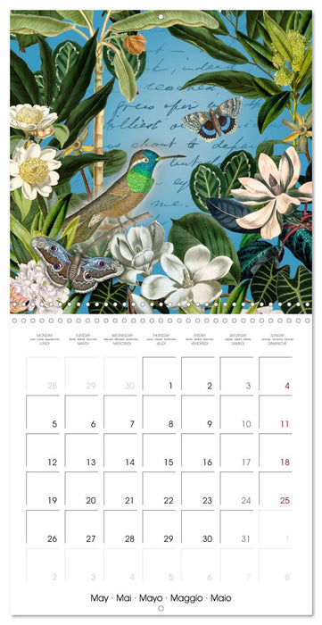 Lovely hummingbirds (CALVENDO Monthly Calendar 2025)