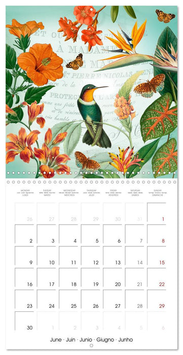 Lovely hummingbirds (CALVENDO Monthly Calendar 2025)