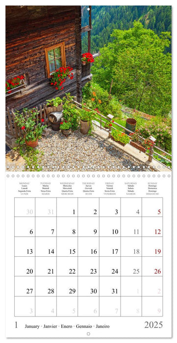 Beautiful old farmhouses (CALVENDO Monthly Calendar 2025)