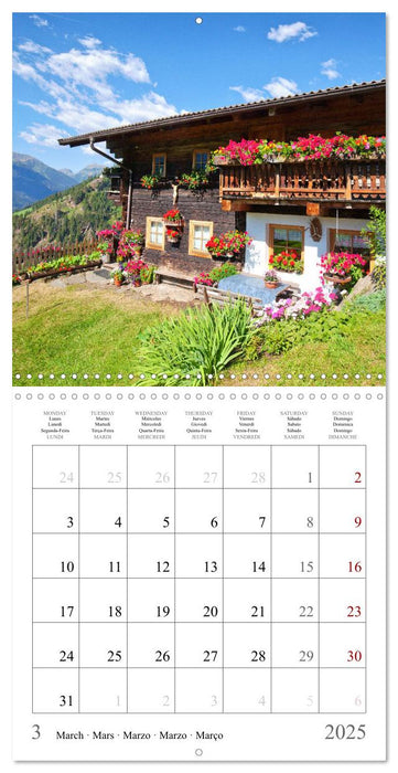 Beautiful old farmhouses (CALVENDO Monthly Calendar 2025)