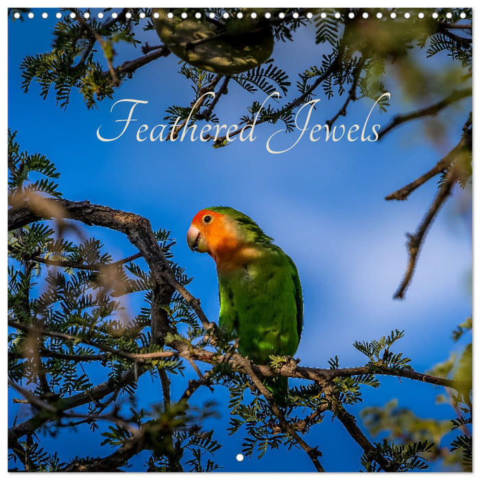 Feathered Jewels (CALVENDO Monthly Calendar 2025)