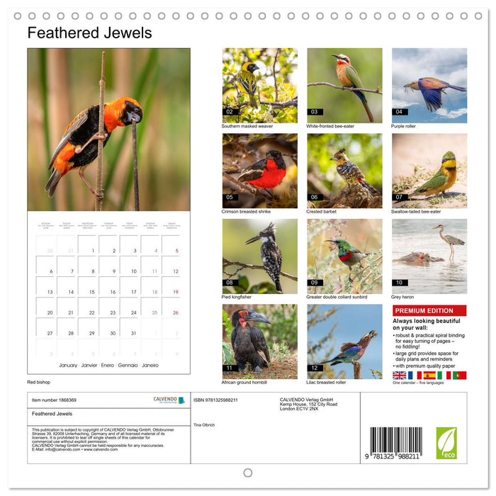 Feathered Jewels (CALVENDO Monthly Calendar 2025)