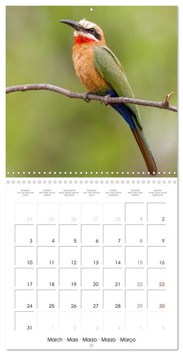 Feathered Jewels (CALVENDO Monthly Calendar 2025)