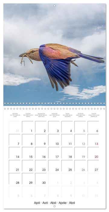 Feathered Jewels (CALVENDO Monthly Calendar 2025)