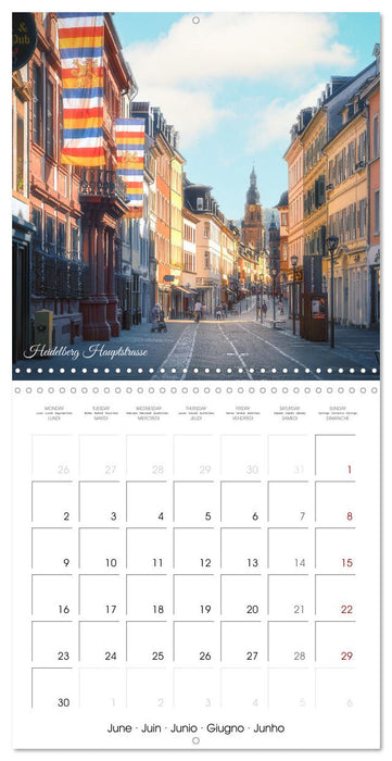 The colorful city of Heidelberg (CALVENDO Monthly Calendar 2025)