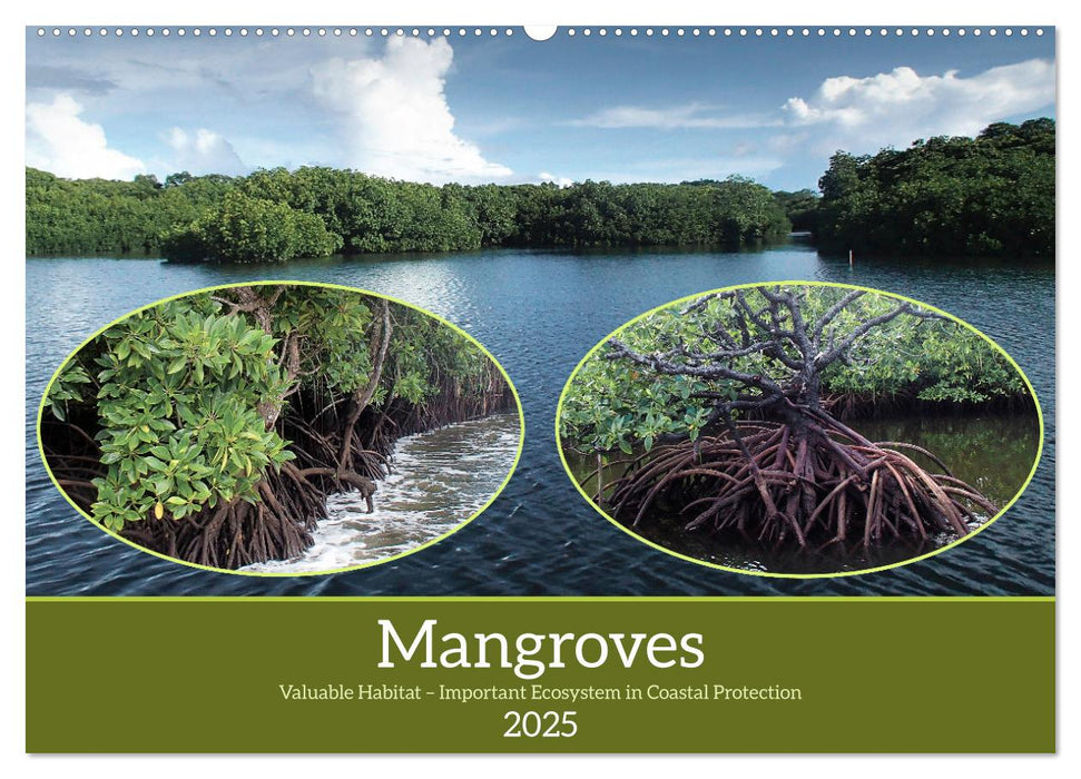 Mangroves - Valuable Habitat (CALVENDO Monthly Calendar 2025)