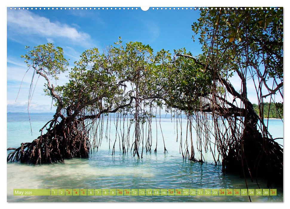 Mangroves - Valuable Habitat (CALVENDO Monthly Calendar 2025)