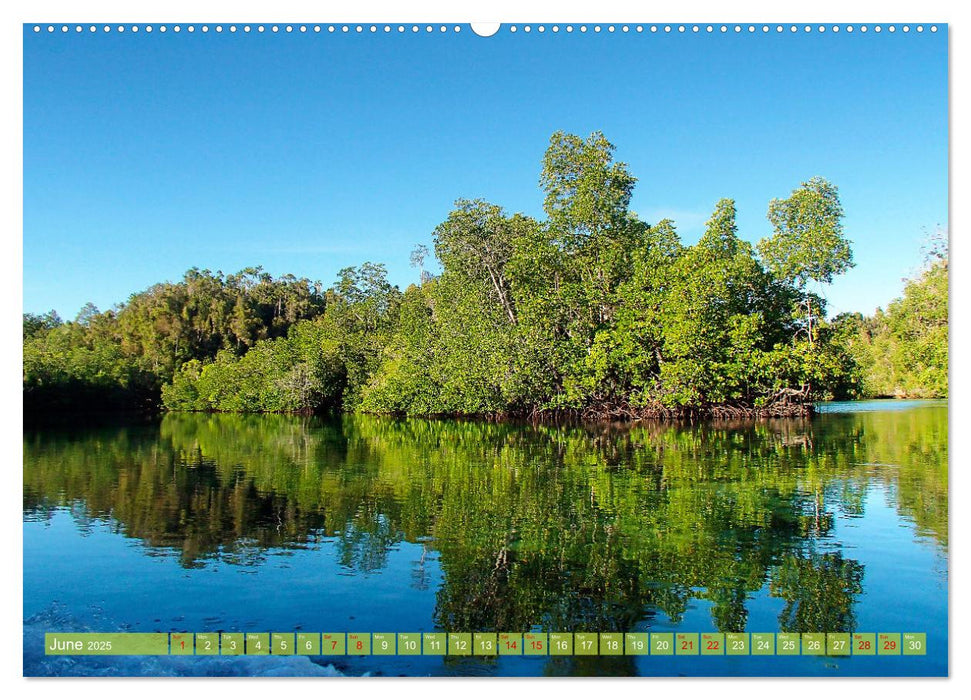 Mangroves - Valuable Habitat (CALVENDO Monthly Calendar 2025)