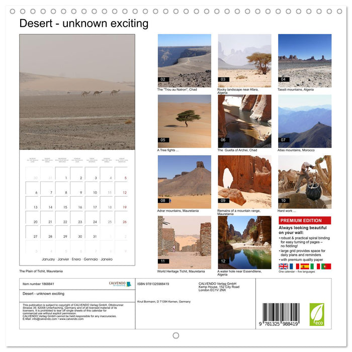 Desert - unknown exciting (CALVENDO Monthly Calendar 2025)