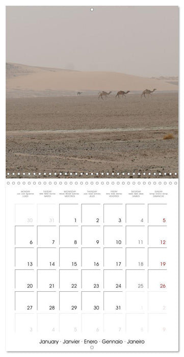 Desert - unknown exciting (CALVENDO Monthly Calendar 2025)