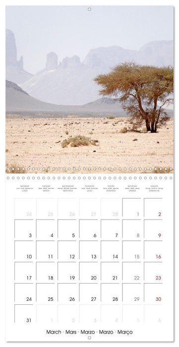 Desert - unknown exciting (CALVENDO Monthly Calendar 2025)