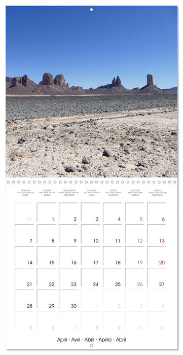 Desert - unknown exciting (CALVENDO Monthly Calendar 2025)