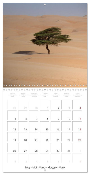 Desert - unknown exciting (CALVENDO Monthly Calendar 2025)