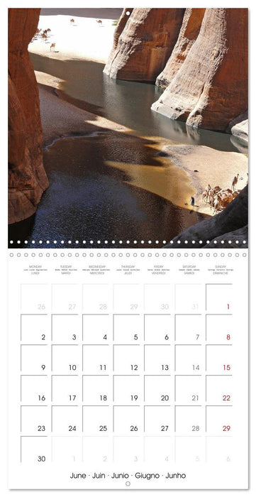 Desert - unknown exciting (CALVENDO Monthly Calendar 2025)