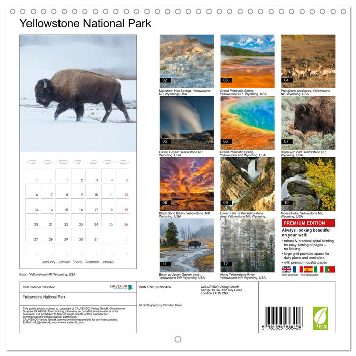 Yellowstone National Park (CALVENDO Monthly Calendar 2025)