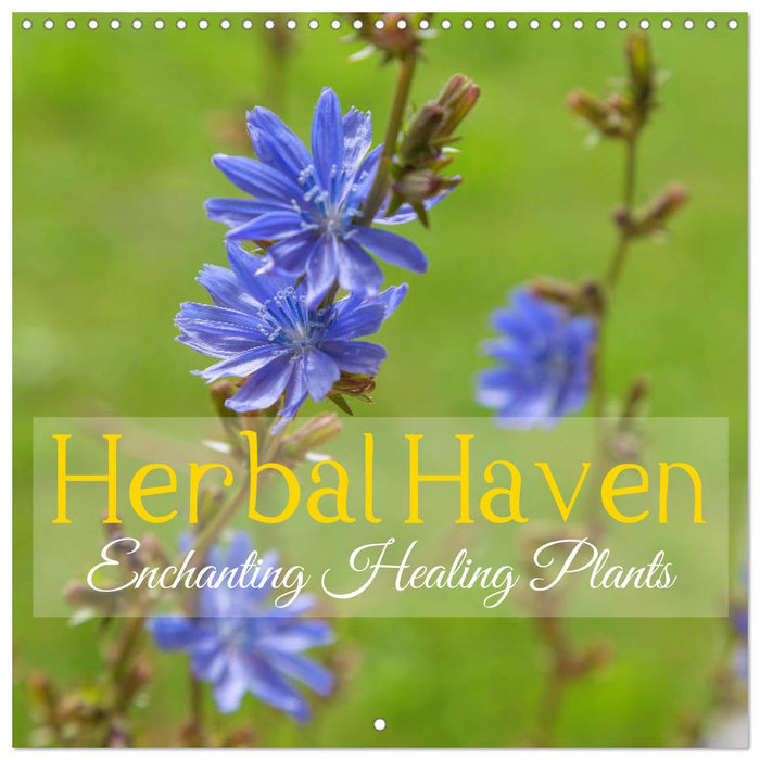 Herbal Haven. Enchanting Healing Plants (CALVENDO Monthly Calendar 2025)