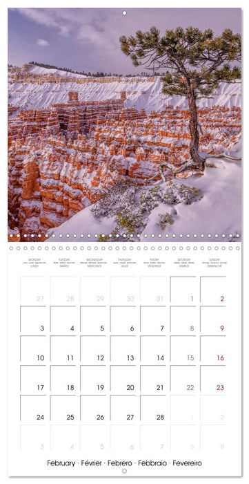 America's National Parks (CALVENDO Monthly Calendar 2025)