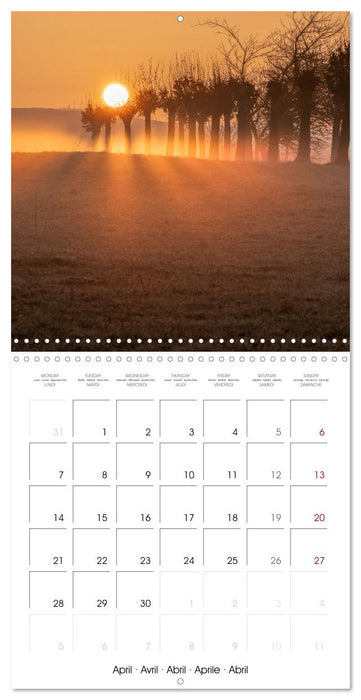 Gorgeous Germany Harz Mountains 2025 (CALVENDO Monthly Calendar 2025)