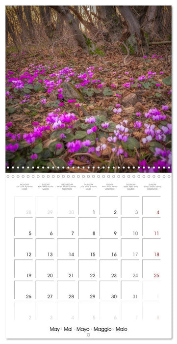 Gorgeous Germany Harz Mountains 2025 (CALVENDO Monthly Calendar 2025)