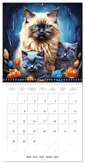 Kittens Hi Pet (CALVENDO Monthly Calendar 2025)