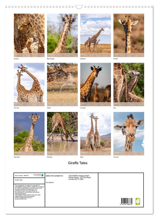 Giraffe Tales (CALVENDO Monthly Calendar 2025)