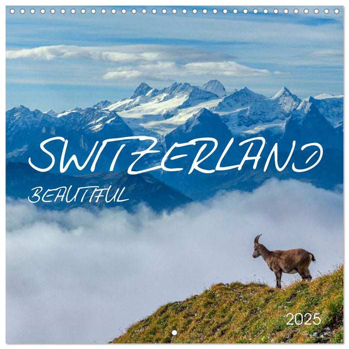 Beautiful Switzerland (CALVENDO Monthly Calendar 2025)