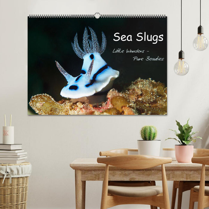 Sea Slugs - Little Wonders - Pure Beauties (CALVENDO Monthly Calendar 2025)