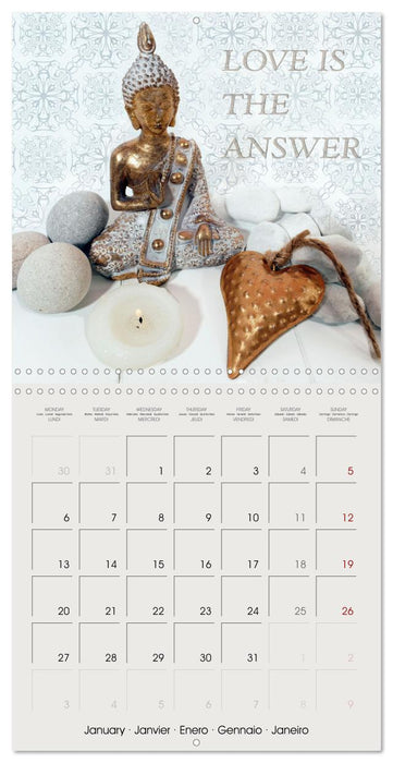 Special hearts in wonderful still lifes (CALVENDO Monthly Calendar 2025)