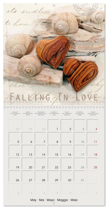 Special hearts in wonderful still lifes (CALVENDO Monthly Calendar 2025)