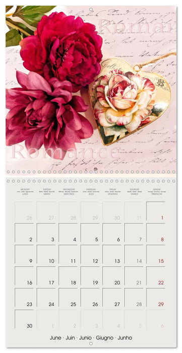 Special hearts in wonderful still lifes (CALVENDO Monthly Calendar 2025)