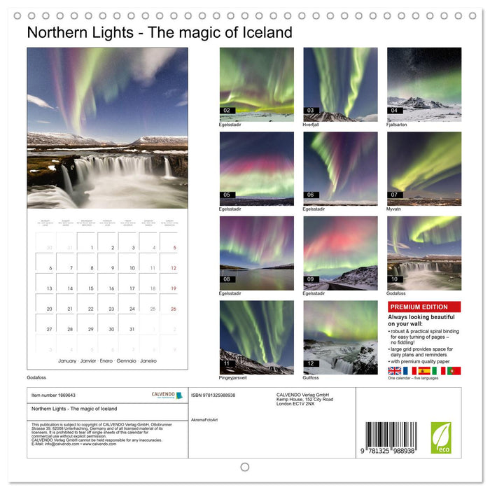 Northern Lights - The magic of Iceland (CALVENDO Monthly Calendar 2025)