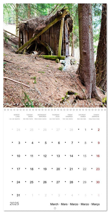 South Tyrol the last mills (CALVENDO Monthly Calendar 2025)