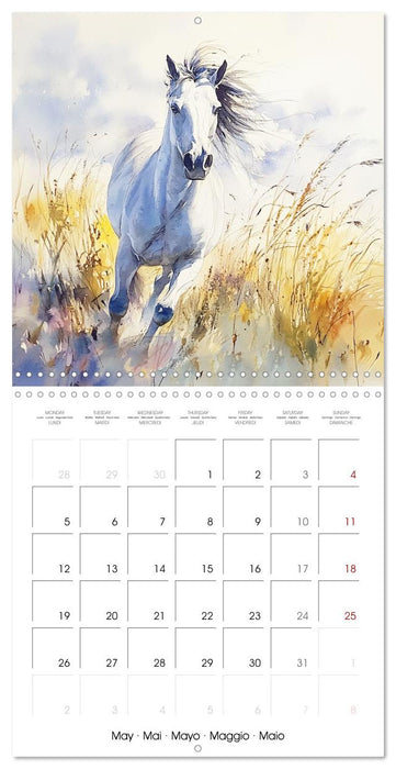 Sérénité à l'aquarelle (CALVENDO Calendrier mensuel 2025)