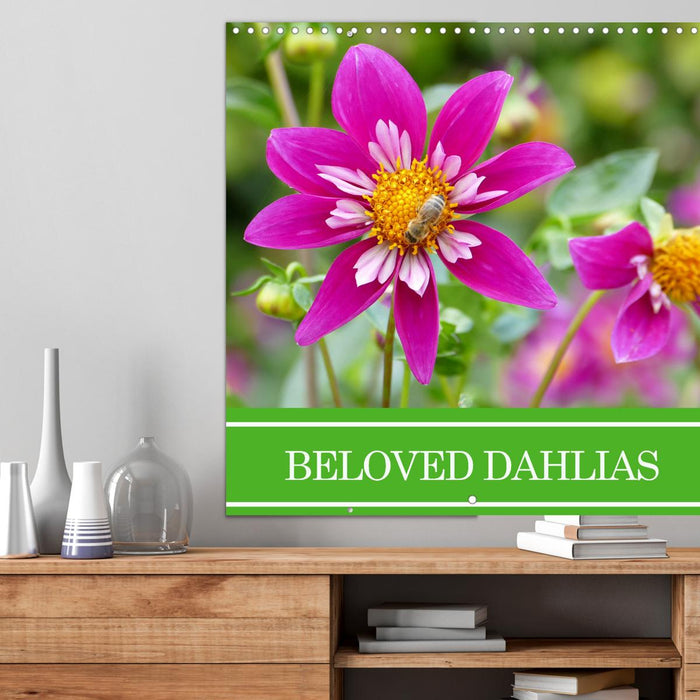 Beloved dahlias (CALVENDO Monthly Calendar 2025)