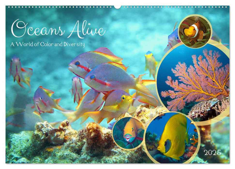 Oceans Alive - A World of Color and Diversity (CALVENDO Monthly Calendar 2025)