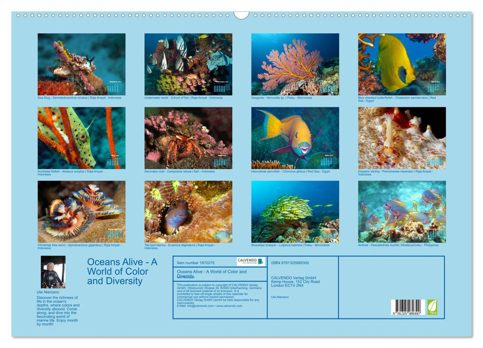 Oceans Alive - A World of Color and Diversity (CALVENDO Monthly Calendar 2025)