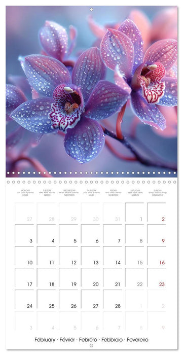 colorful orchid family planner (CALVENDO Monthly Calendar 2025)