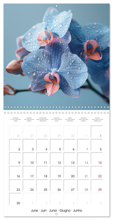 colorful orchid family planner (CALVENDO Monthly Calendar 2025)