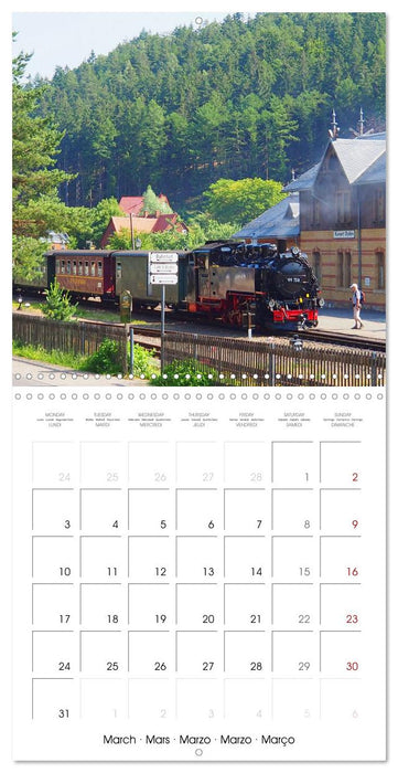 Saxony's rural idyll (CALVENDO Monthly Calendar 2025)